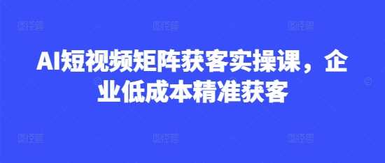 AI短视频矩阵获客实操课，企业低成本精准获客-一起网创
