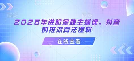 2025年进阶金牌主播课，抖音的推流算法逻辑-一起网创