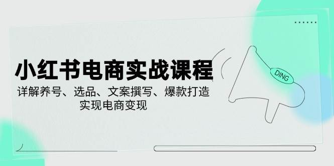 小红书电商实战课程，详解养号、选品、文案撰写、爆款打造，实现电商变现-一起网创