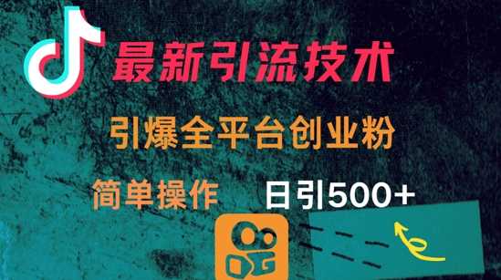 最新引流方法，引爆全平台的一个创业粉，简单操作日引300+-一起网创