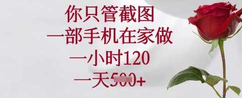 你只管截图，一部手机在家做，一小时120.一天5张【揭秘】-一起网创