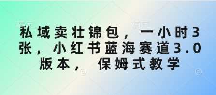 私域卖壮锦包，一小时3张，小红书蓝海赛道3.0版本， 保姆式教学-一起网创