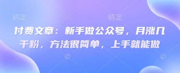 付费文章：新手做公众号，月涨几干粉，方法很简单，上手就能做-一起网创