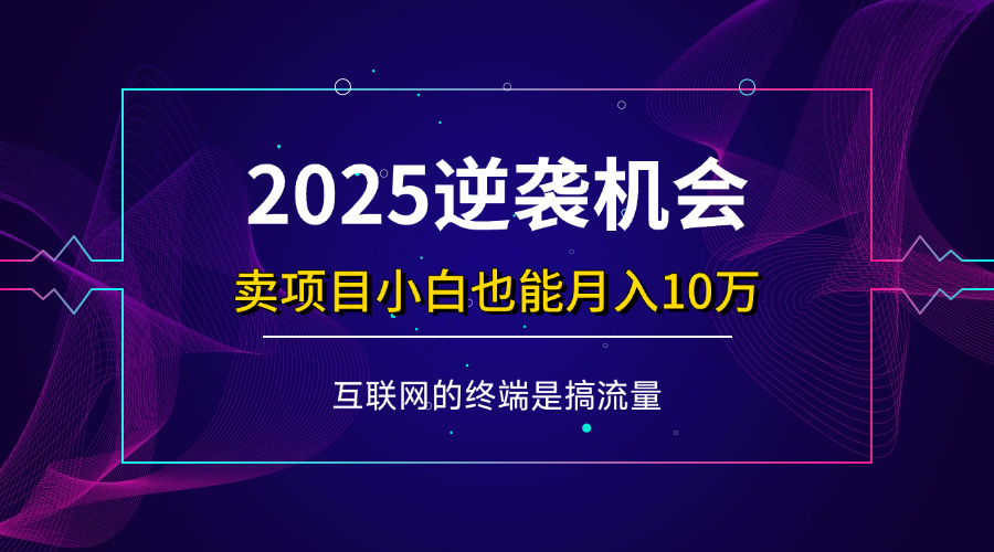 （14122期）项目标题：2025逆袭机会，卖项目小白也能轻松月入10万+-一起网创