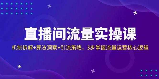 （14122期）直播间流量实操课：机制拆解+算法洞察+引流策略，3步掌握流量运营核心逻辑-一起网创