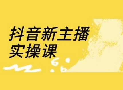 抖音新主播实操课，直播间流量运营线上实操课(18节)-一起网创