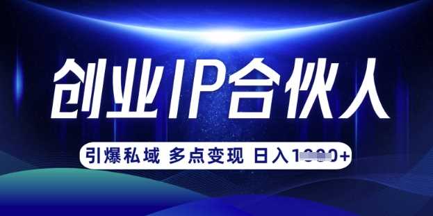 云帆·创业ip合伙人打造3.0，从0到1教你做网创，实现月入过W-一起网创