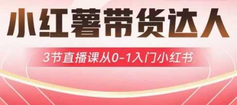 小红薯达人带货启航计划，3节直播课从0-1入门小红书-一起网创