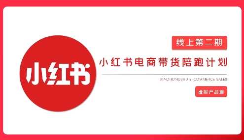 2025小红书虚拟电商实战课，从0到1打造无货源店铺，AI+爆款笔记轻松变现-一起网创