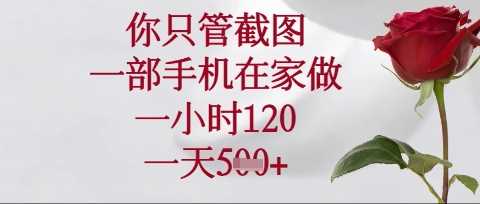 你只管截图，一部手机在家操作，一小时120.一天5张【揭秘】-一起网创