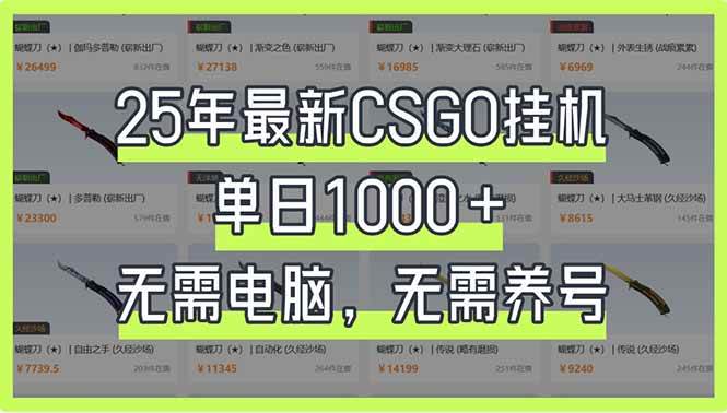 （14178期）25年最新CSGO挂机系统，单日1000+，无需电脑，无需养号，0基础可上手-一起网创