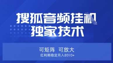 【搜狐音频挂G】独家技术，可矩阵可放大，红利期稳定月入8k【揭秘】-一起网创