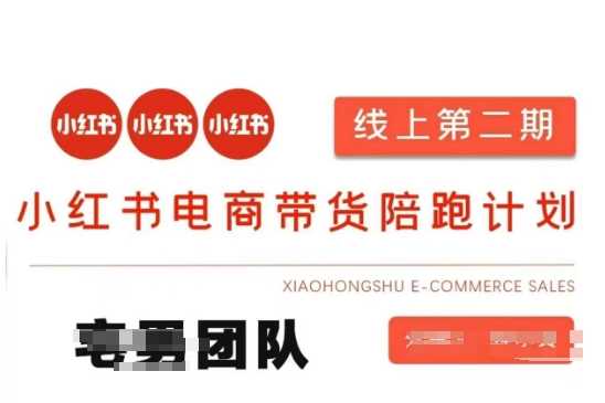 小红书电商带货课2期，月利润20个的小红书电商的有货源，无货源，虚拟产品，付费投流等整套玩法-一起网创