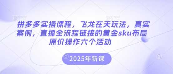 拼多多实操课程，飞龙在天玩法，真实案例，直播全流程链接的黄金sku布局原价操作六个活动-一起网创