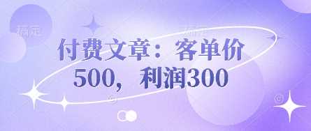 付费文章：客单价500，利润300-一起网创