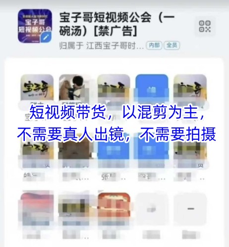 宝子哥头部团队短视频带货，以混剪为主，不需要真人出镜，不需要拍摄【更新6月】-一起网创